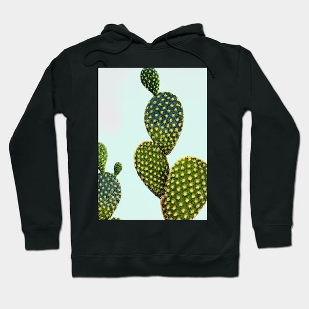 Fancy Cactus Hoodie by maxcode